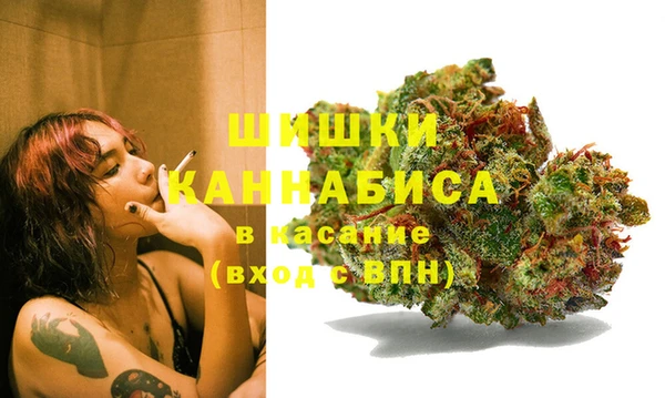 дживик Аркадак
