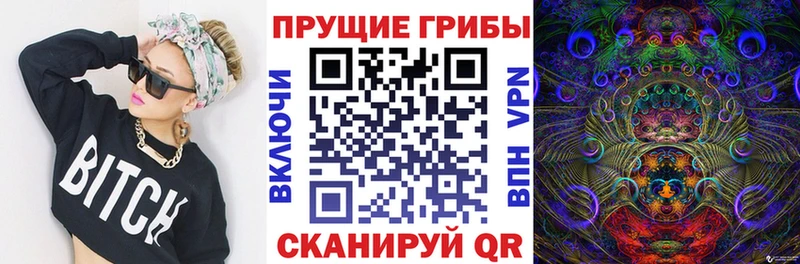 наркота MEGA зеркало Псилоцибиновые грибы MAGIC MUSHROOMS Могоча